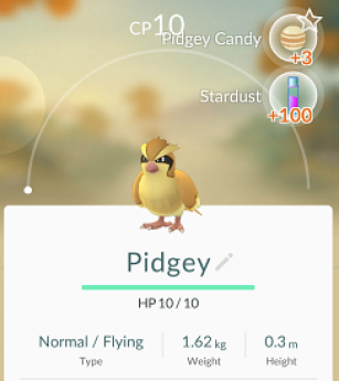 5-pidgey